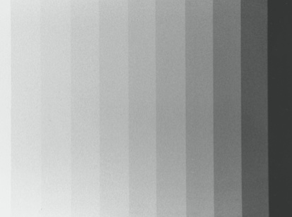 Imagen con kilovoltaje alto: bajo contraste, más tonos de gris